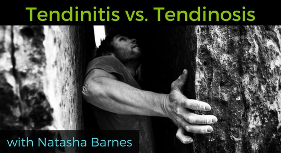 Tendinitis Or Tendinosis Trainingbeta