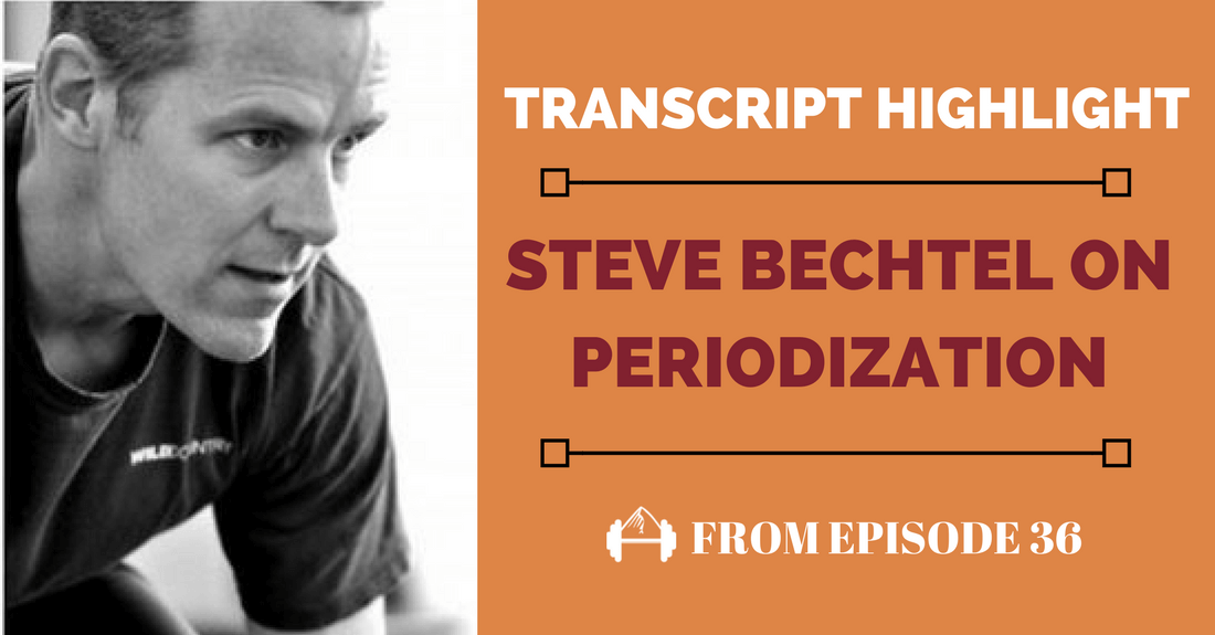 steve bechtel periodization